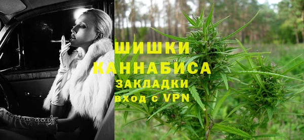 mdpv Заводоуковск