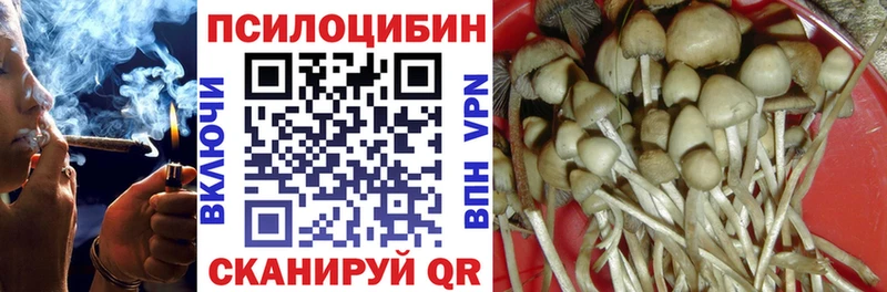 Галлюциногенные грибы Cubensis  Суровикино 